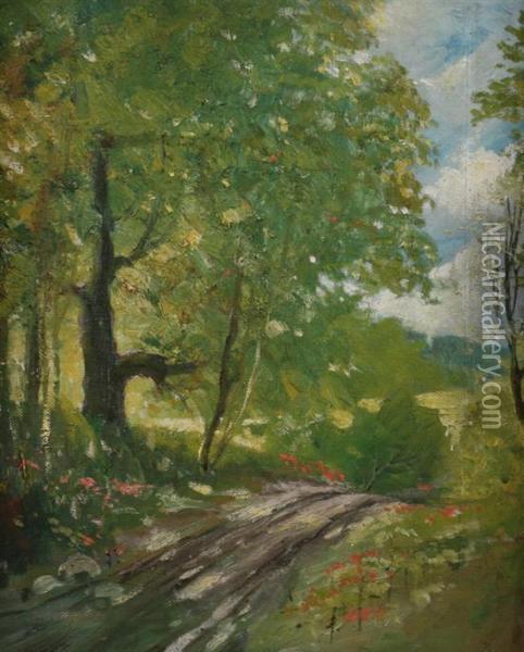 Country Lane In Spring Oil Painting - John Steuart Curry