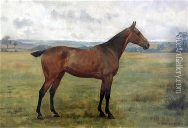 Portrait Of A Horse In A Field Oil Painting - George Goodwin Kilburne