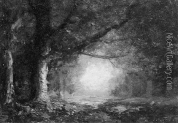 Woodland Scene With Brook Oil Painting - Julian Walbridge Rix
