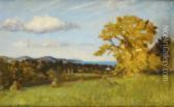 View From The Dublin Mountains Oil Painting - William Crampton Gore