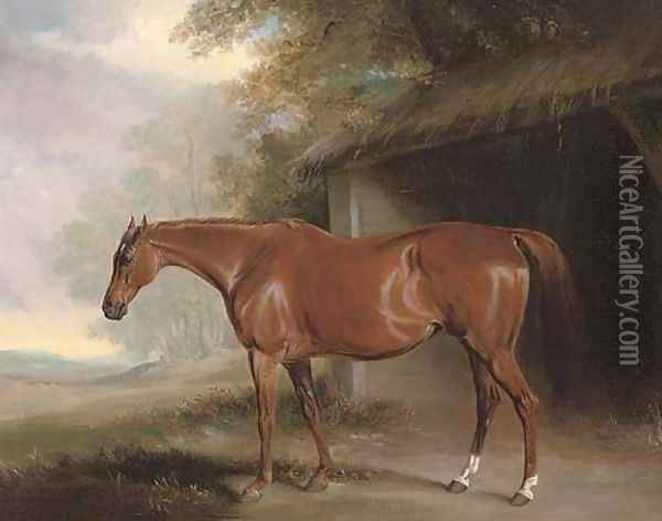 A chestnut hunter outside a stable Oil Painting - John Snr Ferneley