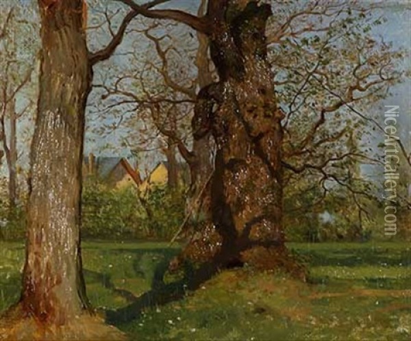 Baume Im Sommerlichen Park Oil Painting - Heinrich Winter