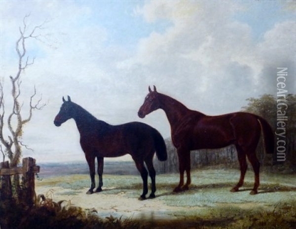 Chestnut Stallion And Mare In A Landscape Oil Painting - Edward (of Coventry) Brown