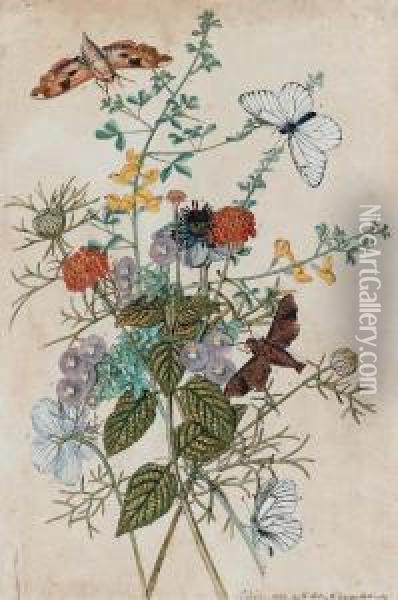 A Pair Of Watercolours Of Flowers And Insects Including :palamedes; Almana Butterflies; Berry-like Heath, Hoardy-leavedcistus; Lantana; Prickly Broom And Spanish Fennel Oil Painting - Thomas Robins