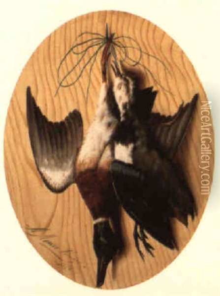 A Hanging Mallard And Lapwing Oil Painting - Michelangelo Meucci