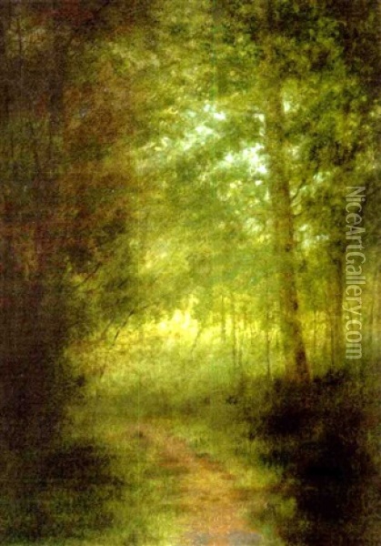Woodland Landscape Oil Painting - Ben Austrian
