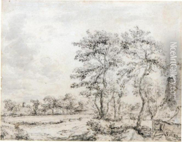 Recto Oil Painting - Jacob Van Ruisdael