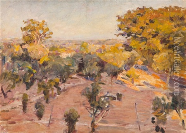 Landscape With Trees Oil Painting - Jose Julio Souza Pinto