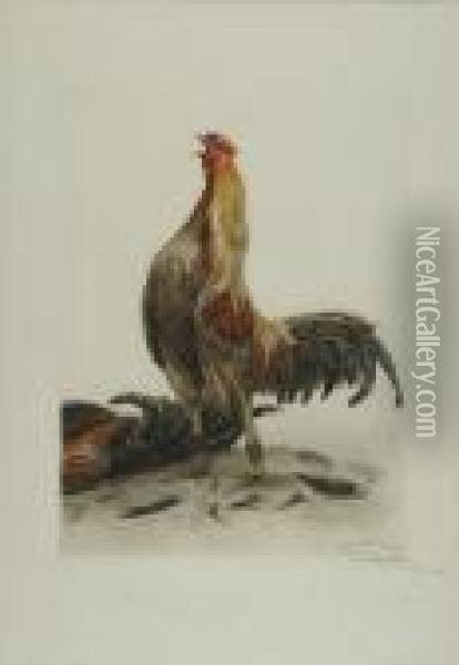 Game Cock Oil Painting - Leon Danchin