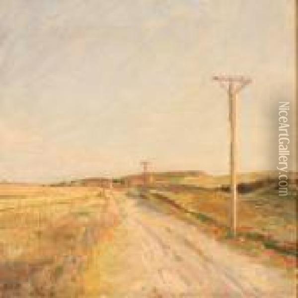 A Country Road Oil Painting - Julius Paulsen