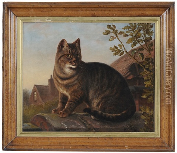 Mr. Dutchman's Cat On A Garden Wall Oil Painting - Samuel John Carter
