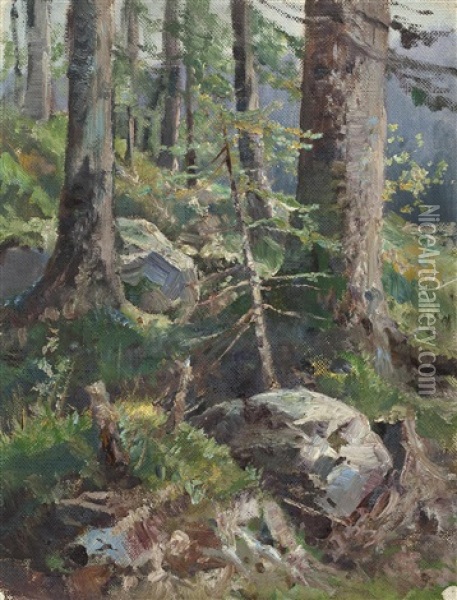 Steine Im Fichtenwald Oil Painting - Julius von Blaas