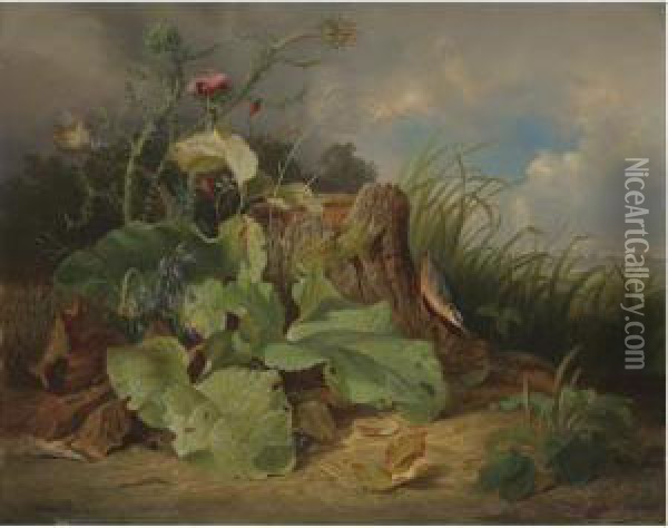 Still Life With Thistle And Bird Oil Painting - Josef Schuster