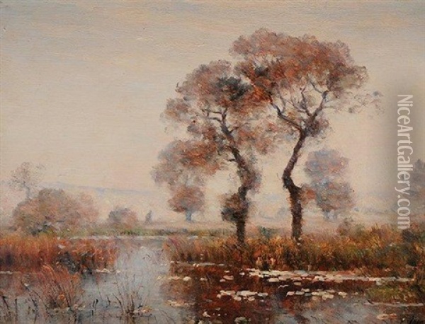 Paysage De Marais Oil Painting - Louis Aime Japy