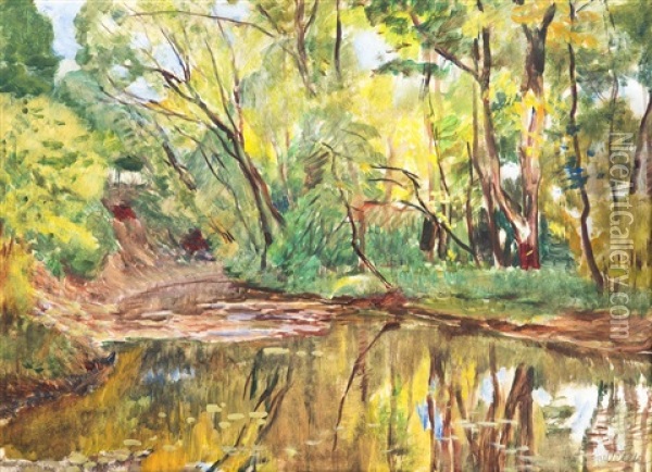 Brook In The Forest Oil Painting - Antonin Hudecek