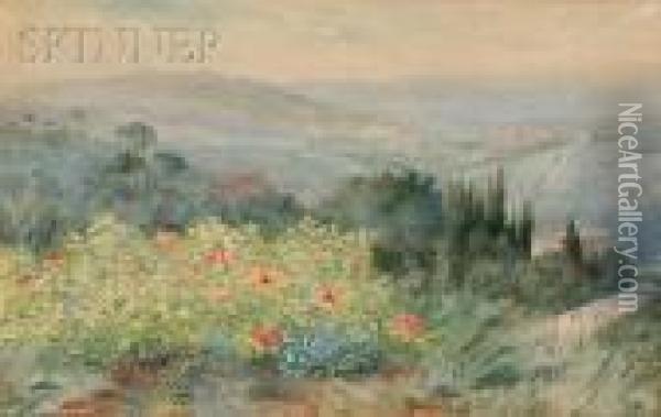A Panoramic View Of Siena, Italy Oil Painting - George Elbert Burr