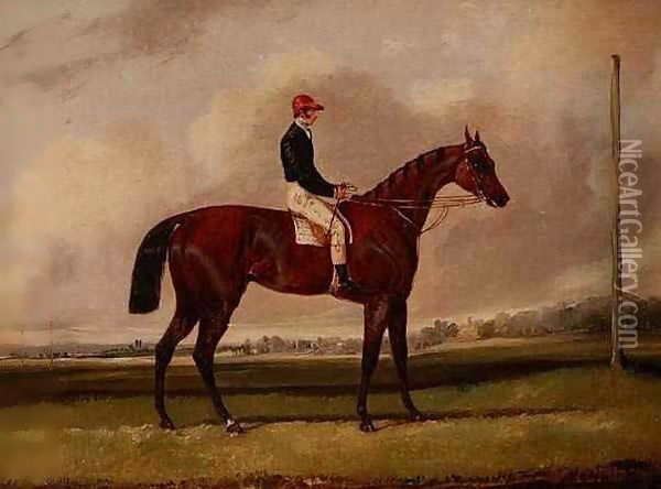 Bay Racehorse with a Jockey on a Racecourse Oil Painting - Henry Thomas Alken