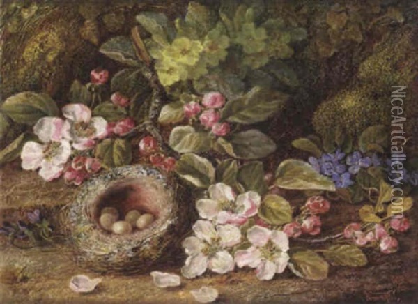 Still Life With Blossom And A Bird's Nest Oil Painting - Vincent Clare