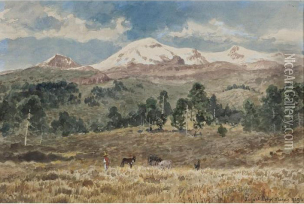 Nevado De Iztlazihuatl Oil Painting - August Lohr