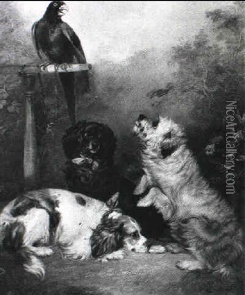 Tre Hunde Og En Papegije Oil Painting - George Armfield