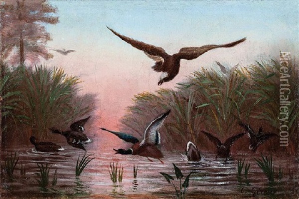 Mallards In Flight, Descent Of Bald Eagle At Dawn Oil Painting - Charles Giroux