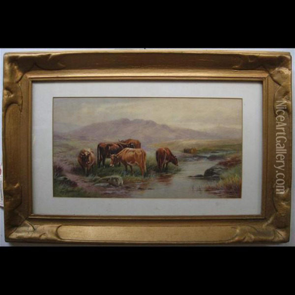 Highland Cattle By Creek Oil Painting - Thomas, Tom Rowden