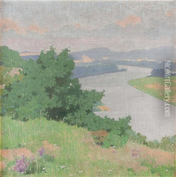 Blick Auf Die Donau Oil Painting - Robert Skala