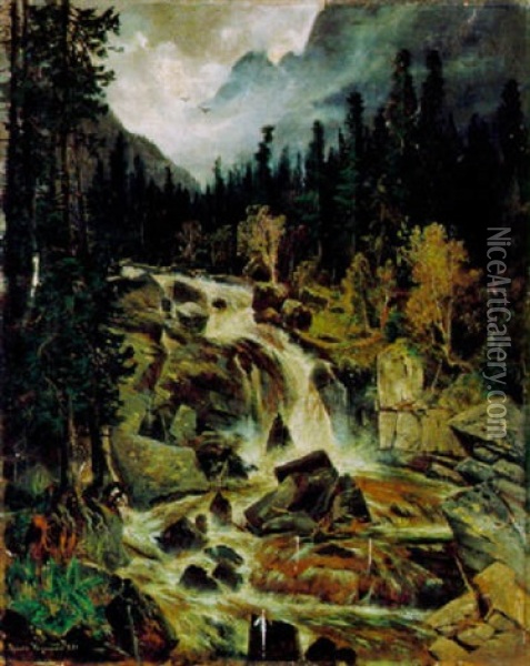 Wasserfall Im Kolbach Thale Hohe Tatra Oil Painting - Theodor von Hoermann