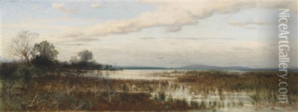 Partie Am Chiemsee, Moorlandschaft Oil Painting - August Schaefer von Wienwald