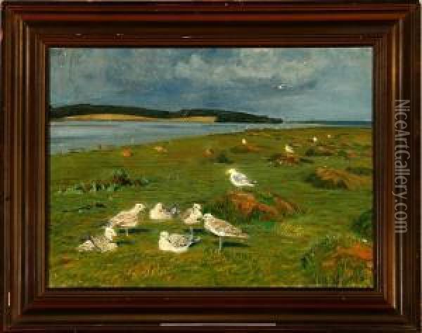 Danish Summer Landscape From Eno Island, Denmark Oil Painting - Vilhelm Theodor Fischer