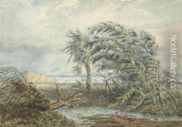 A Venezuelan River Landscape With Scarlet Ibis Sheltering From A Gale In A Backwater Oil Painting - Anton Goering