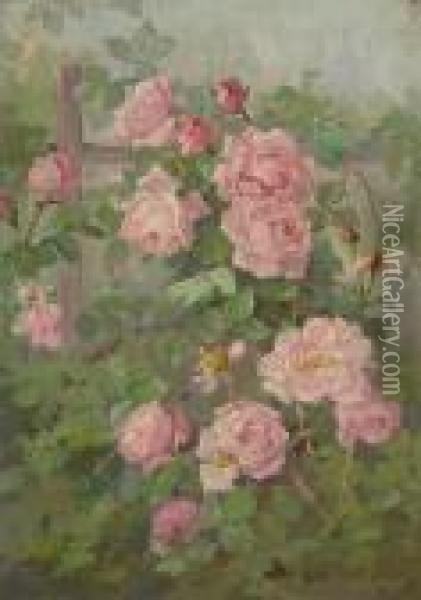 Pink Roses On A Trellis Oil Painting - Edith White