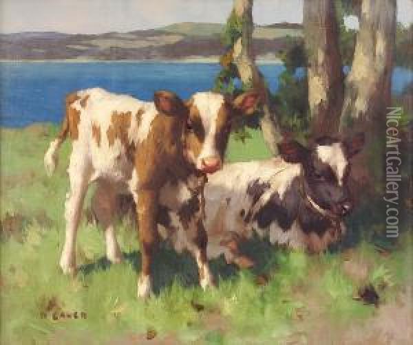 Two Calves On The Coast Oil Painting - David Gauld