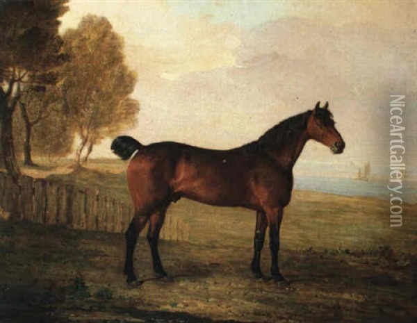 The Chestnut Hunter Berry Brown In A Field By An Estuary, With Sailing Ships In The Distance Oil Painting - Benjamin Marshall
