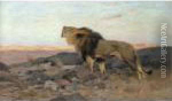 Brullender Lowe In Steiniger Steppe (a Roaring Lion) Oil Painting - Wilhelm Kuhnert
