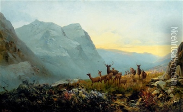 A Highland Dawn - Pass Of Glencoe, Scotland Oil Painting - Andrew Melrose