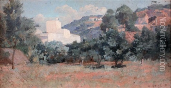 Paysage Provencal Oil Painting - Armand Point