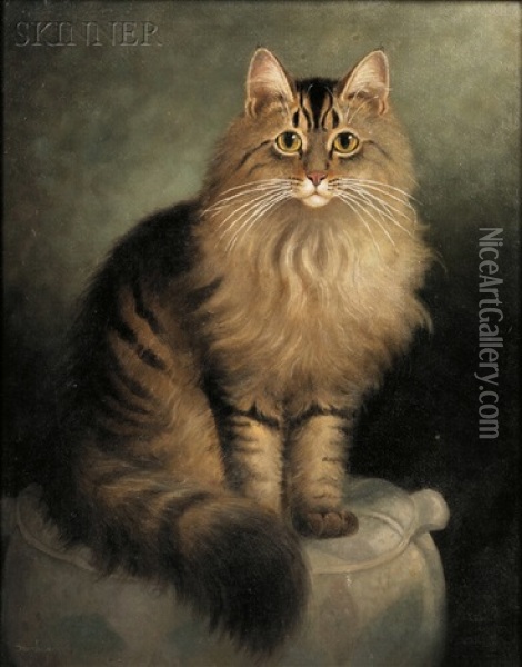 Portrait Of A Maine Coon Cat Oil Painting - Percy A. Sanborn
