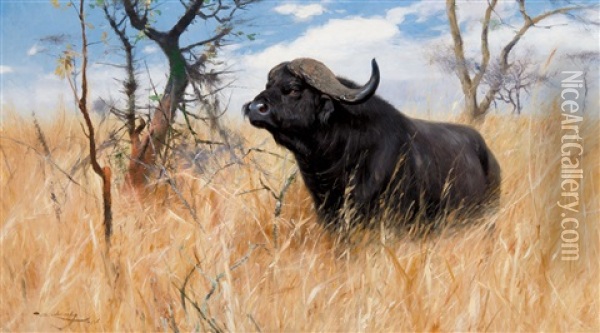 Cape Buffalo Oil Painting - Wilhelm Friedrich Kuhnert
