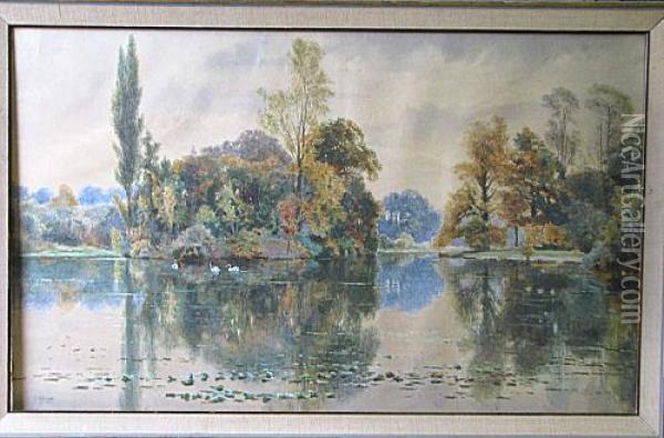Fswans In Woodedlake Scene Oil Painting - Frederick William Hayes