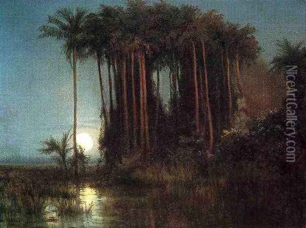 Moonlight over a Marsh in Ecuador Oil Painting - Louis Remy Mignot