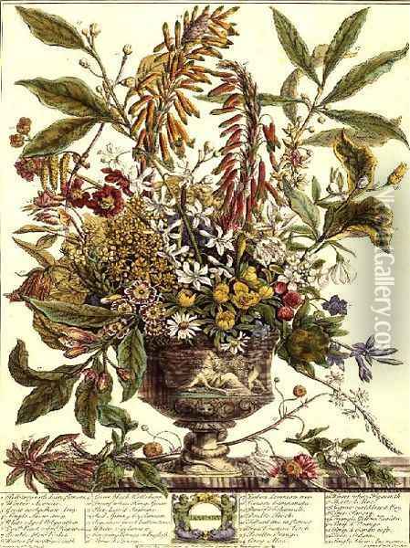 January, from `Twelve Months of Flowers' Oil Painting - Pieter Casteels