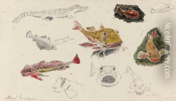 Studies Of Fish Oil Painting - Albert Goodwin