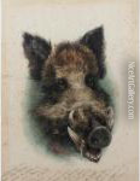 [head Of Wild Boar] Oil Painting - Karl Bodmer