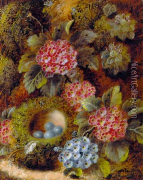 Primulas And A Bird's Nest With Eggs On A Mossy Bank Oil Painting - Oliver Clare