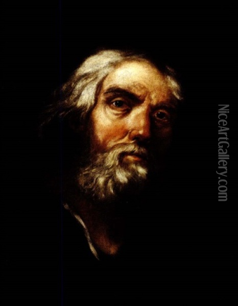 Testa Di Vecchio Oil Painting - Domenico Maggiotto