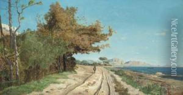Route Au Bord De La Mediterranee, Pres De Marseille Oil Painting - Paul-Camille Guigou