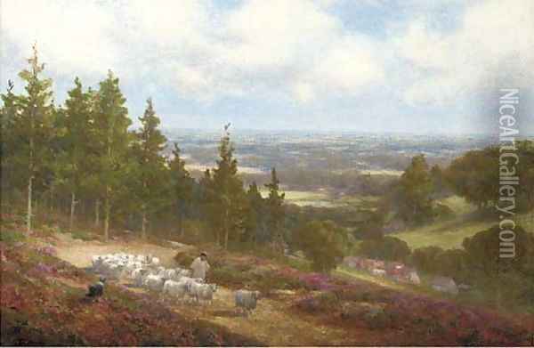 A shepherd with his flock at Shere, near Dorking Oil Painting - Alexander Young