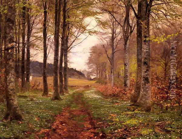 A Woodland Landscape Oil Painting - Hans Anderson Brendekilde
