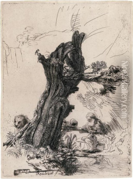 Saint Jerome Beside The Pollard Willow Oil Painting - Rembrandt Van Rijn
